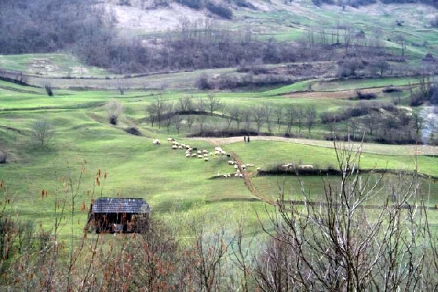 Radio Romania International