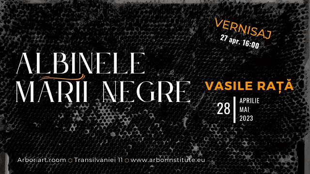 expozitia-albinele-marii-negre-de-vasile-rata