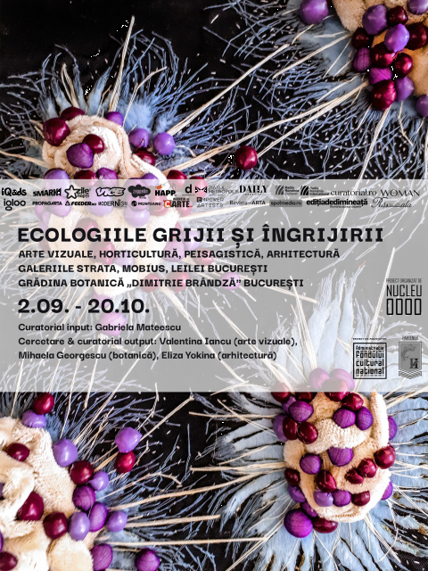 ecologiile-grijii-si-ingrijirii