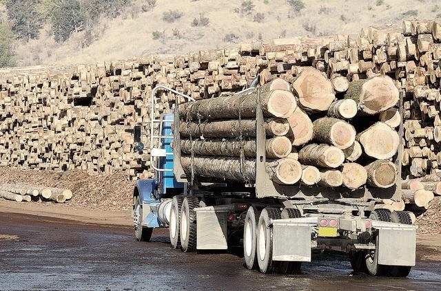 gegen-illegale-abholzungen-nachhaltigkeits-siegel-fur-holzprodukte-in-baumaerkten