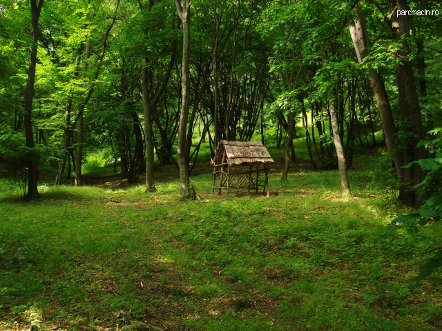 la-colline-de-consul-integree-aux-itineraires-de-randonnee