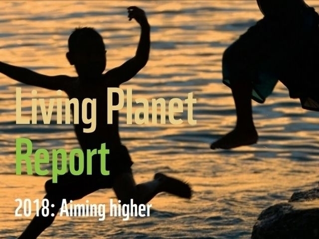 Отчет «Живая планета» 2018