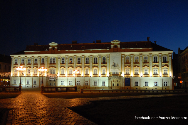 il museo d'arte di timisoara