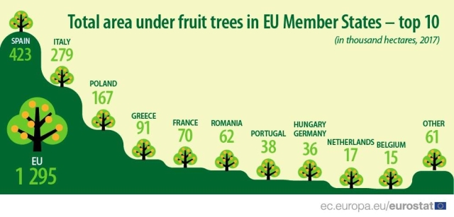 pomi-fructiferi-stateue-2017-eurostat.jpg pomi-fructiferi-stateue-2017-eurostat.jpg