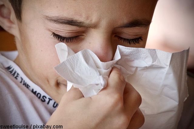 grippesaison-epidemiewarnung--aber-noch-keine-eigentliche-epidemie