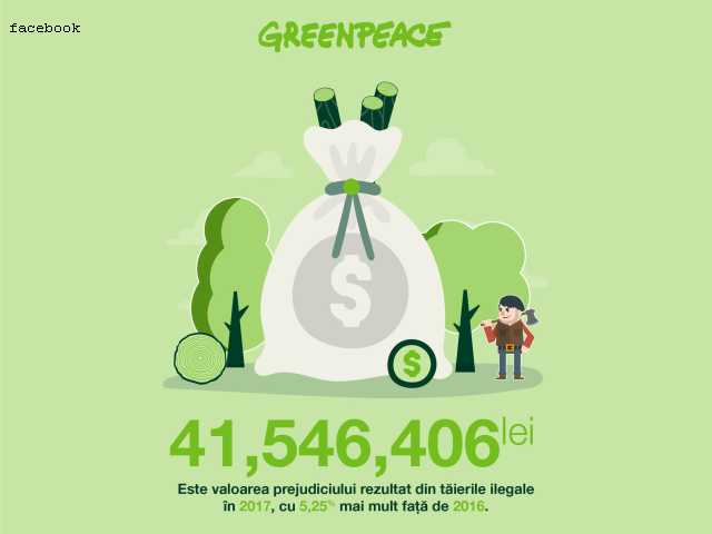 greenpeace-bericht-zu-illegalen-abholzungen-jaehrlich-8-mio-kubikmeter-holz-gekappt