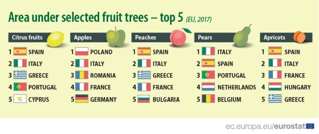 top-pomi-fructiferi-2017-eurostat.jpg