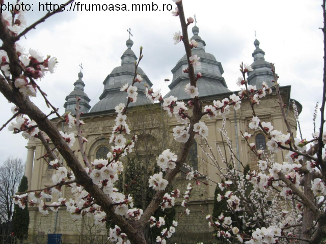 Яський монастир Фрумоаса