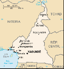 histoire du cameroun