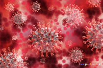 info covid:  6.441 de cazuri noi de infectare cu sars - cov - 2