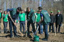 a large-scale afforestation campaign kicks off in romania