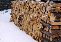 andré biot (belgique) - en roumanie, les particuliers peuvent-ils couper du bois dans les forêts?
