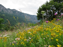 the domogled- cerna valley nature park