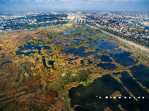 le parc naturel de văcăreşti