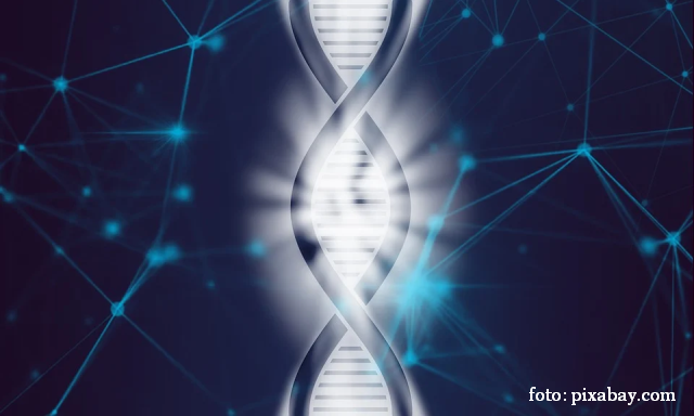 Applicazioni delle biotecnologie