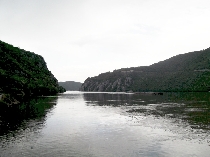 Wiederansiedlungsaktion an der Donau! Dreitausend junge Störe ausgesetzt. Wiederansiedlungsaktion an der Donau! Dreitausend junge Störe ausgesetzt.