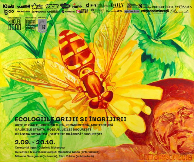 „Ecologiile grijii și îngrijirii”
