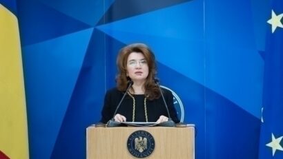 Întrevederea ministrului pentru românii de pretutindeni, Andreea Păstîrnac, cu delegația OCDE