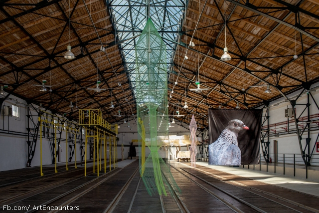 La biennale Art Encounters de Timişoara