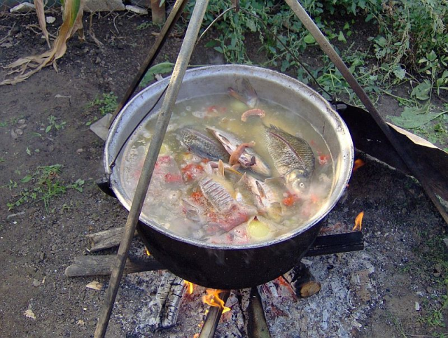 Preparate din peşte