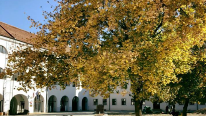 Muzeul Cetăţii Oradea