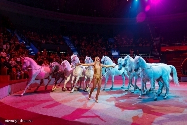 Les animaux quittent le Cirque d’hiver roumain