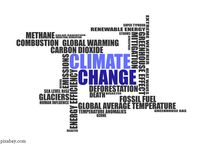 Cum ne afectează schimbările climatice?