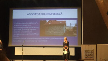 Vesla Petrila