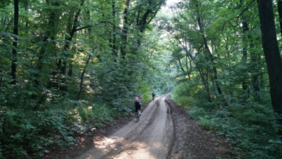 Naturpark Comana: Habitat für viele Tierarten