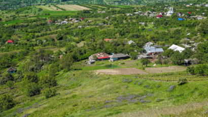 Cotnari