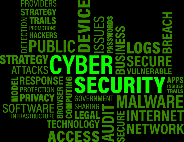Securitate cibernetică la Bucureşti
