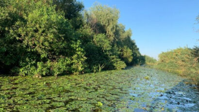 Tourist routes in the Danube Delta