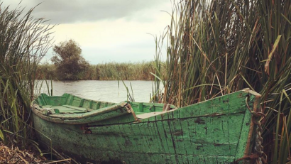 Donaudelta erneut mit Europäischem Diplom für Schutzgebiete ausgezeichnet