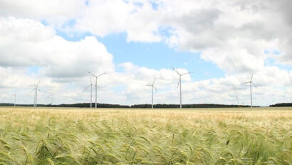 El Parlamento Europeo y la energía verde