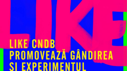Performance und Experiment: LIKE CNDB – das etwas andere Festival