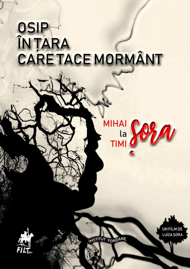Festivalul Internațional de Literatură de la Timișoara