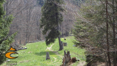 Karpatenbecken: Erosion nimmt im Hochgebirge seit 100 Jahren zu