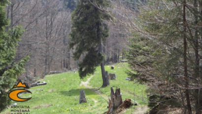 Erosion in the Carpathian Mountains