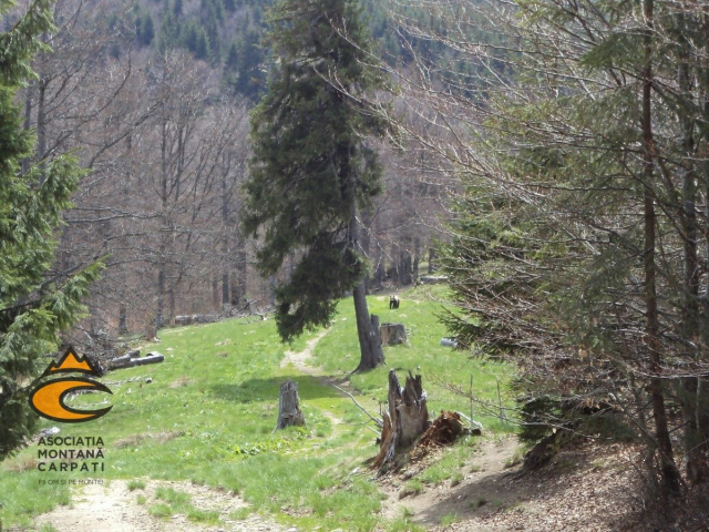 Erosion in the Carpathian Mountains