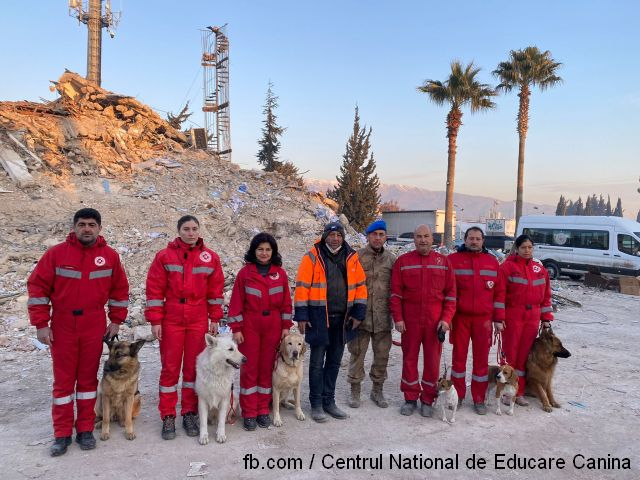 Persone e cani al servizio della società