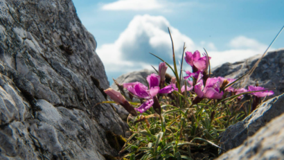 Il Parco Nazionale Piatra Craiului