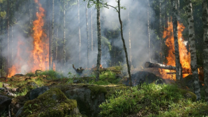 Raport incendii forestiere: România este cea mai afectată din UE