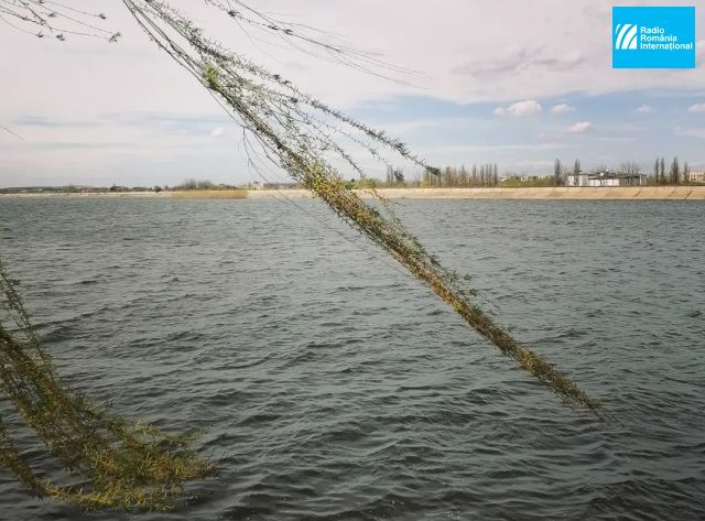 Lacul Morii