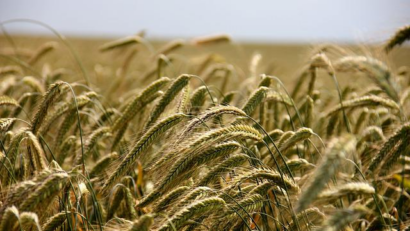 Décisions européennes sur les produits agricoles ukrainiens.
