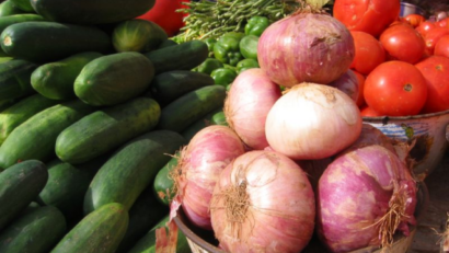 Agriculture roumaine et produits écologiques