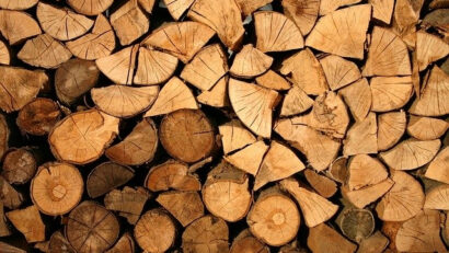 Waldgesetz überarbeitet: Illegal erwirtschaftetes Holz nicht mehr vermarktbar
