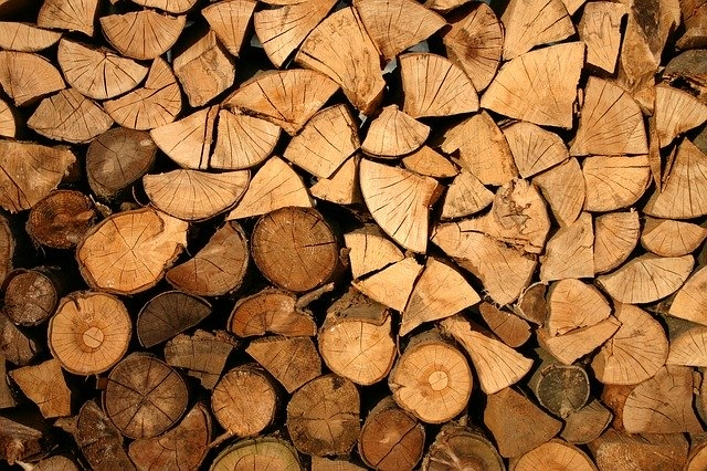 Waldgesetz überarbeitet: Illegal erwirtschaftetes Holz nicht mehr vermarktbar