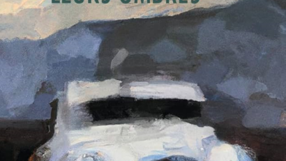 Mes pas dans leurs ombres, de Lionel Duroy