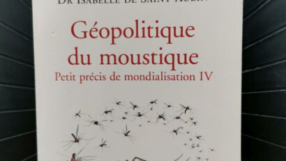 « Géopolitique du moustique », un essai sur la mondialisation paru chez Fayard
