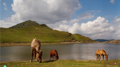 Le parc naturel « Les Monts du Maramureş »